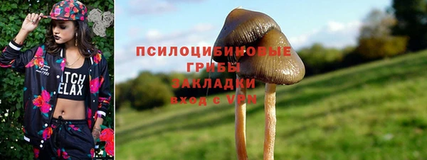 прущий лед Алексин