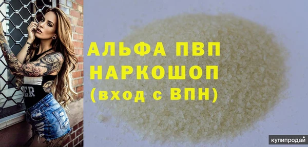 ALPHA PVP Гатчина